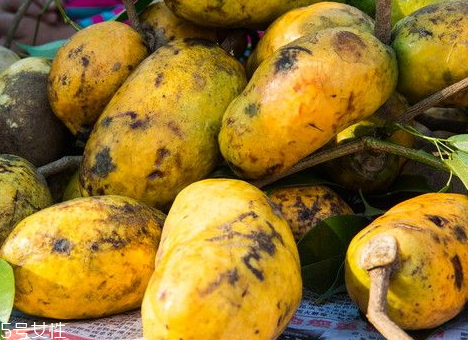 野木瓜泡酒有什么功效 野木瓜泡酒方法 野木瓜泡酒有什么功效 野木瓜泡酒方法