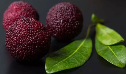 烏酥楊梅什么時(shí)候成熟？烏酥楊梅的產(chǎn)地