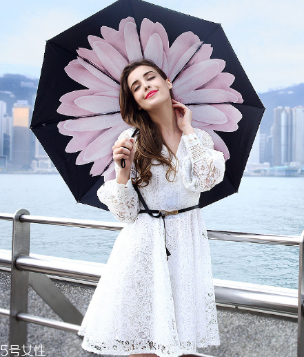 太陽傘一般多少錢？太陽傘市場價格