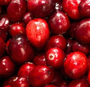 蔓越莓膠囊可以長期吃嗎？蔓越莓膠囊長期吃的危害