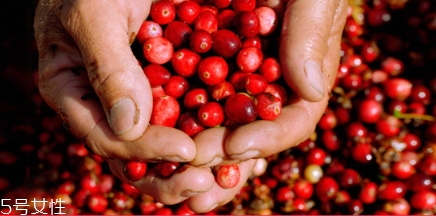 蔓越莓膠囊和月見草可以一起吃嗎？蔓越莓和月見草哪個好