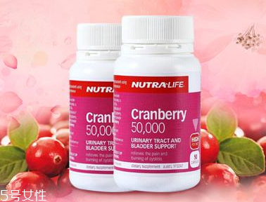 蔓越莓膠囊孕婦可以吃嗎？蔓越莓膠囊適合孕婦嗎？