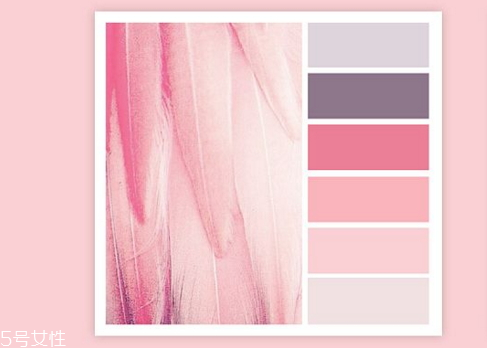 藕荷色是什么顏色 藕荷色搭配顏色 藕荷色是什么顏色 藕荷色搭配顏色