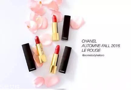 阿瑪尼501替代色有哪些 阿瑪尼501替代色 阿瑪尼501替代色有哪些 阿瑪尼501替代色