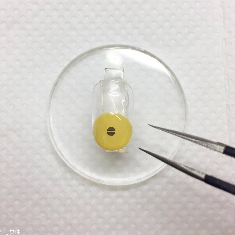 小雞美甲怎么做 4步驟畫出可愛小雞指甲 小雞美甲怎么做 4步驟畫出可愛小雞指甲