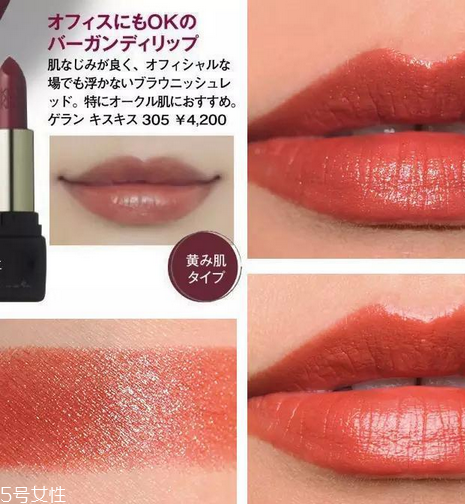 阿瑪尼501替代色有哪些 阿瑪尼501替代色 阿瑪尼501替代色有哪些 阿瑪尼501替代色