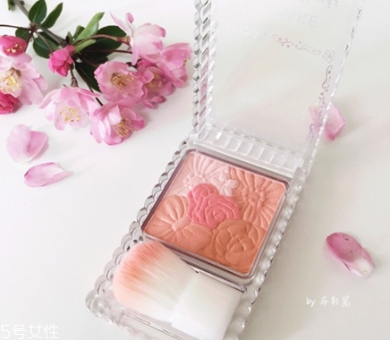 腮紅膏和腮紅粉的區(qū)別 腮紅膏和腮紅粉對比 腮紅膏和腮紅粉的區(qū)別 腮紅膏和腮紅粉對比