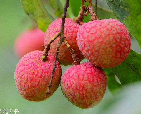 荔枝是涼性還是熱性？月經(jīng)來了能吃荔枝嗎