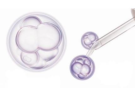 干細胞面霜真的有效嗎 干細胞面霜的主要成分是什么 干細胞面霜真的有效嗎 干細胞面霜的主要成分是什么