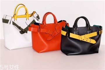 burberry the belt bag多少錢？巴寶莉貝爾特包專柜價格
