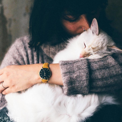 cluse手表多少錢？cluse手表正品價(jià)格