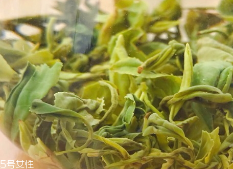 日照綠茶怎么樣 日照綠茶什么顏色 日照綠茶怎么樣 日照綠茶什么顏色