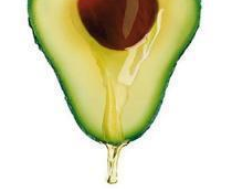 鱷梨油怎么自己提煉 鱷梨油的自制方法 鱷梨油怎么自己提煉 鱷梨油的自制方法