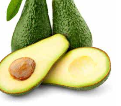 鱷梨油怎么自己提煉 鱷梨油的自制方法 鱷梨油怎么自己提煉 鱷梨油的自制方法