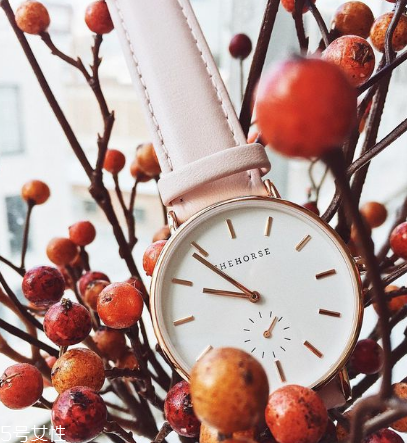the horse手表什么檔次？the horse品牌檔次