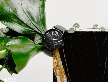 the horse手表怎么樣？the horse手表質(zhì)量好嗎？