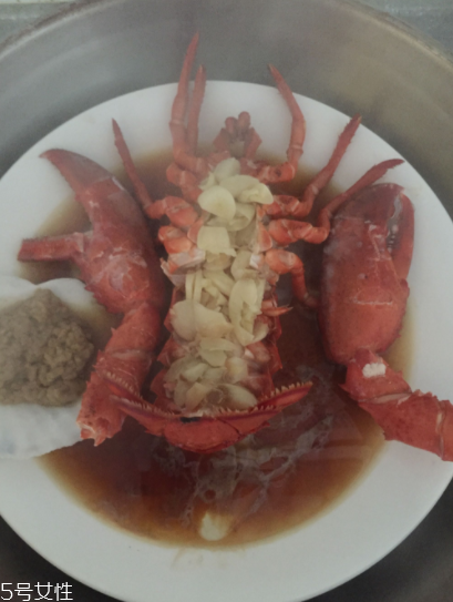 波士頓龍蝦怎么殺？怎么殺波士頓龍蝦？