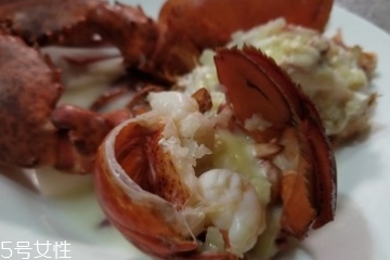 波士頓龍蝦能活多久？波士頓龍蝦能活幾天？