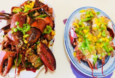 波士頓龍蝦能活多久？波士頓龍蝦能活幾天？