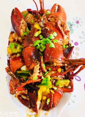 波士頓龍蝦能活多久？波士頓龍蝦能活幾天？