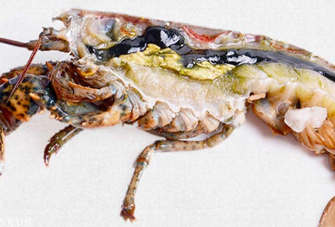 波士頓龍蝦能生吃嗎？波士頓龍蝦適合生吃嗎？