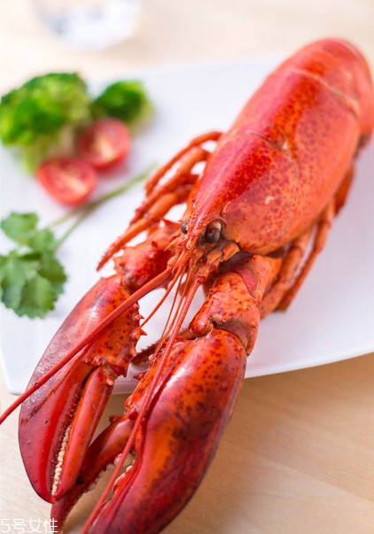 波士頓龍蝦清蒸多久？波士頓龍蝦蒸幾分鐘？