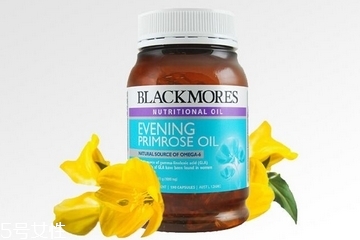 月見草膠囊的成分 月見草膠囊有哪些成分？