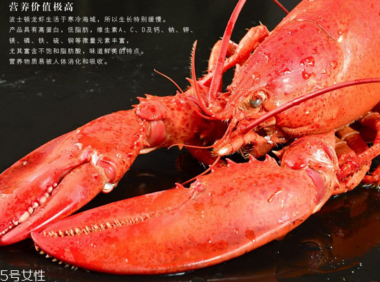 波士頓龍蝦頭里綠色的是什么？