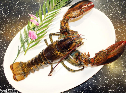 波士頓龍蝦頭部怎么處理？波士頓龍蝦蝦頭處理方法