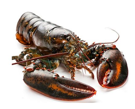 波士頓龍蝦死了還能吃嗎？死的波士頓龍蝦能吃嗎？