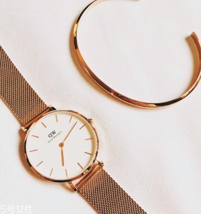 手表洗油是什么意思？手表洗油是干什么？