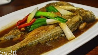 青魚是鯉魚嗎？青魚和鯉魚是不是一樣的？