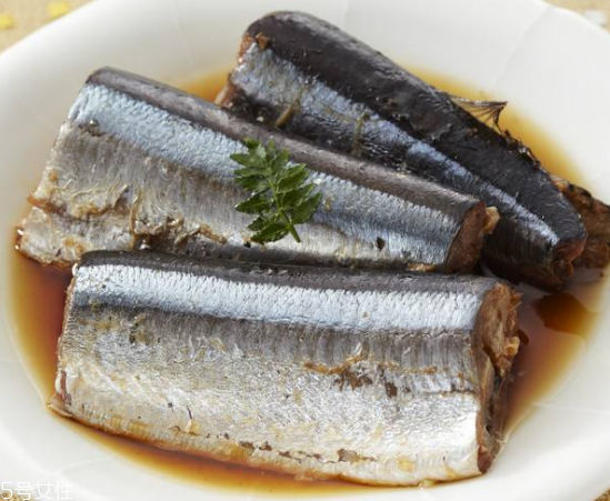 青魚怎么釣？青魚可以用什么餌料？