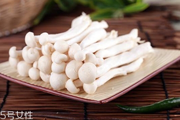 白玉菇的營養(yǎng)價值 白玉菇有什么營養(yǎng)？