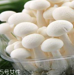 白玉菇的營養(yǎng)價值 白玉菇有什么營養(yǎng)？