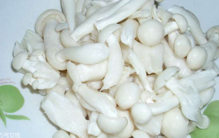 白玉菇為什么是苦的？白玉菇怎么會苦？