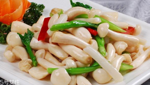 白玉菇的吃法 白玉菇能燉雞嗎？