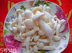 白玉菇能和西紅柿一起吃嗎？白玉菇能和番茄一起吃嗎？