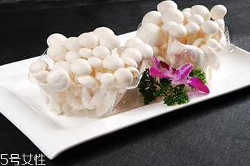 白玉菇長(zhǎng)白毛是怎么回事？白玉菇長(zhǎng)白毛還能吃嗎？