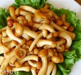 滑子菇的功效 滑子菇有什么作用？