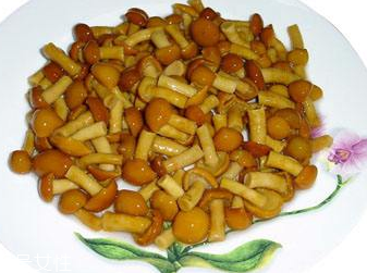 滑子菇的禁忌人群 哪些人不能吃滑子菇？