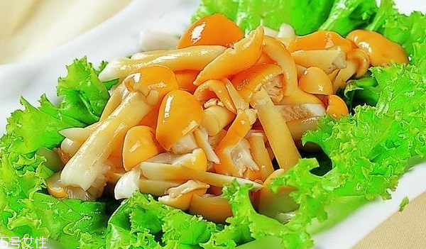 滑子菇的禁忌人群 哪些人不能吃滑子菇？