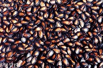 西瓜子能放冰箱嗎？西瓜子的保存方法