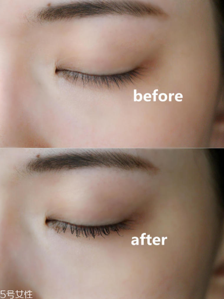 peripera睫毛膏哪款好 菲麗菲拉睫毛膏哪個顏色好用 peripera睫毛膏哪款好 菲麗菲拉睫毛膏哪個顏色好用