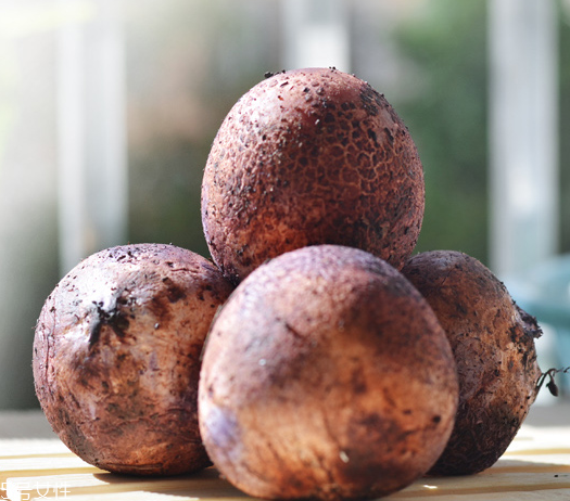 竹蓀蛋的做法 竹蓀蛋怎么做好吃？