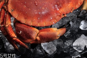 面包蟹是淡水還是海水？面包蟹長在淡水還是海水？