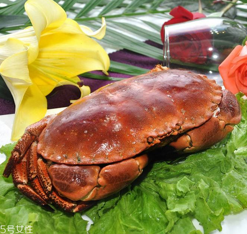 面包蟹是淡水還是海水？面包蟹長在淡水還是海水？