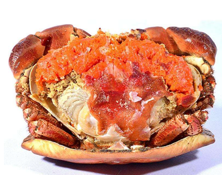 面包蟹是淡水還是海水？面包蟹長在淡水還是海水？