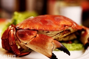 面包蟹是蒸還是煮？面包蟹蒸好吃還是煮好吃？