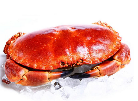 面包蟹是蒸還是煮？面包蟹蒸好吃還是煮好吃？